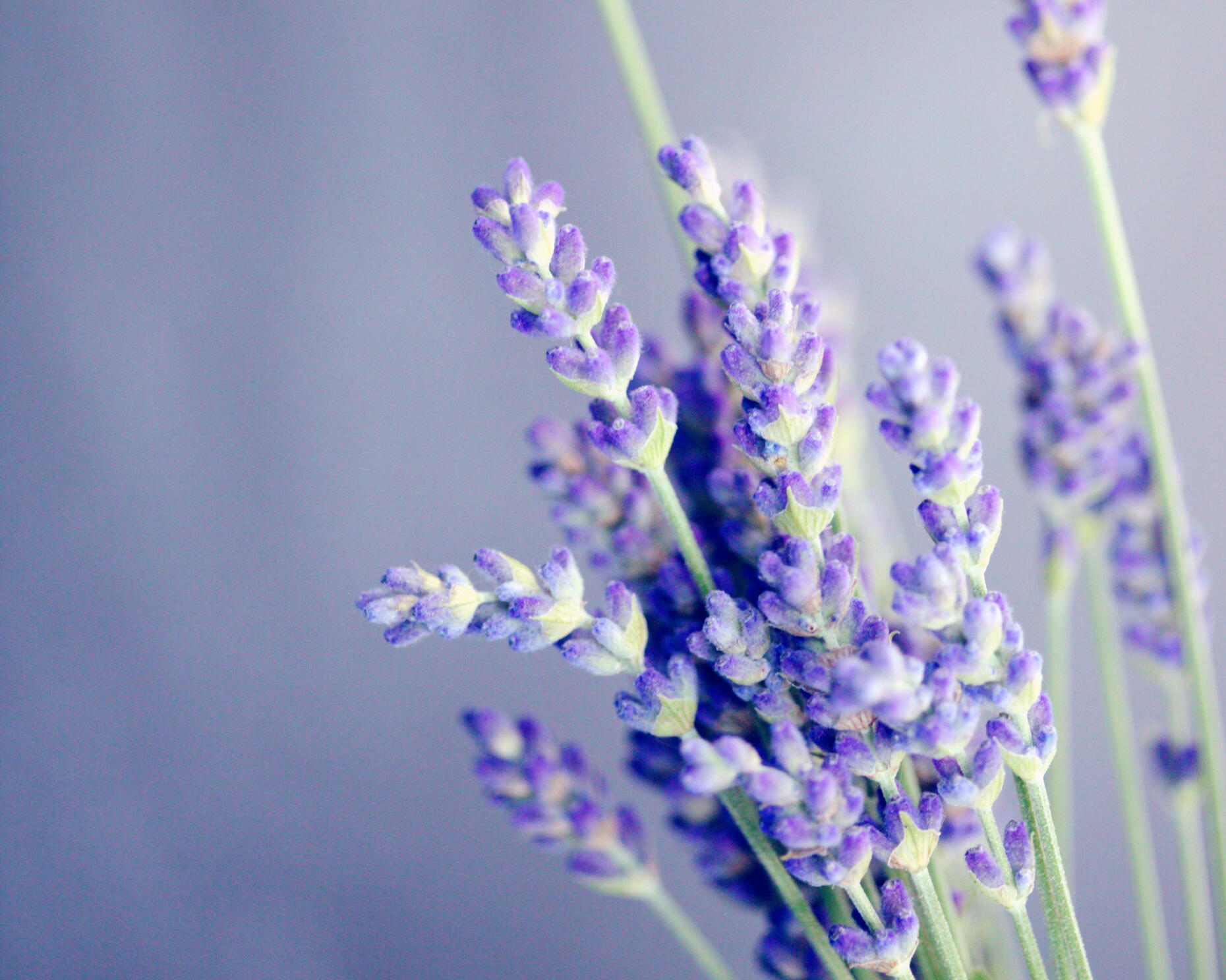 Mental health support Mindfulness to reduce anxiety and depression, self-esteem, coping skills