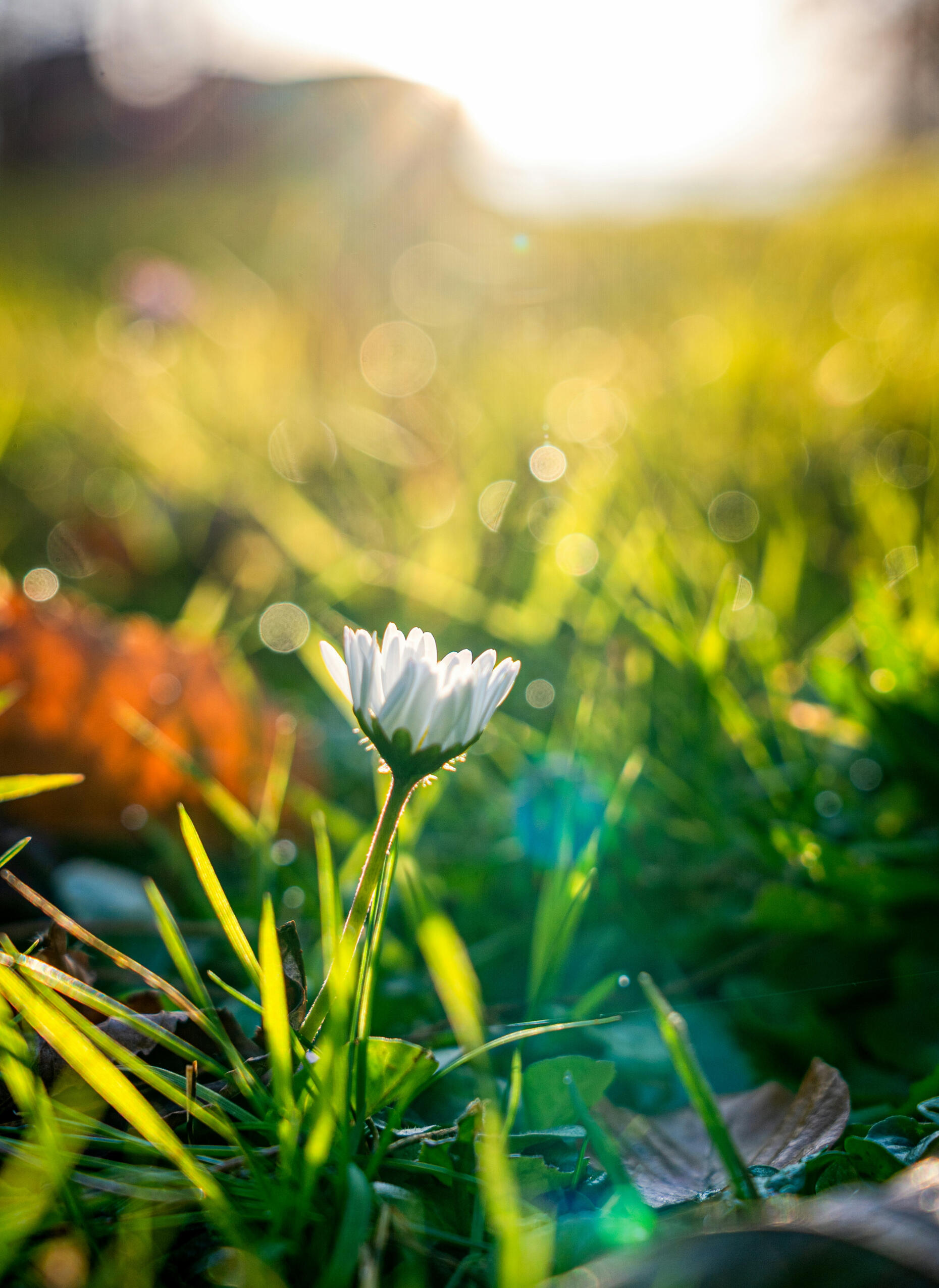 Coping with anxiety, depression and mental health, mental health counseling services, perinatal therapy, faith informed catholic Serenity, calming, nature,