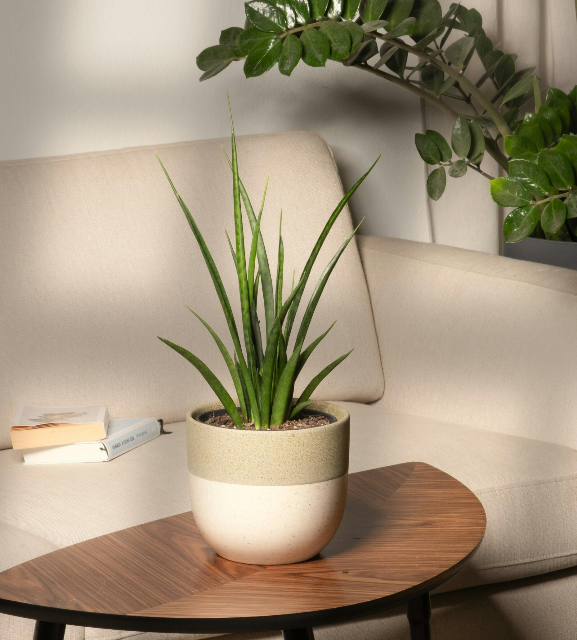 In person therapy in San Jose California virtually in a cozy welcoming space Christian faith Catholic therapist Healing anxiety trauma perinatal and postpartum depression counseling